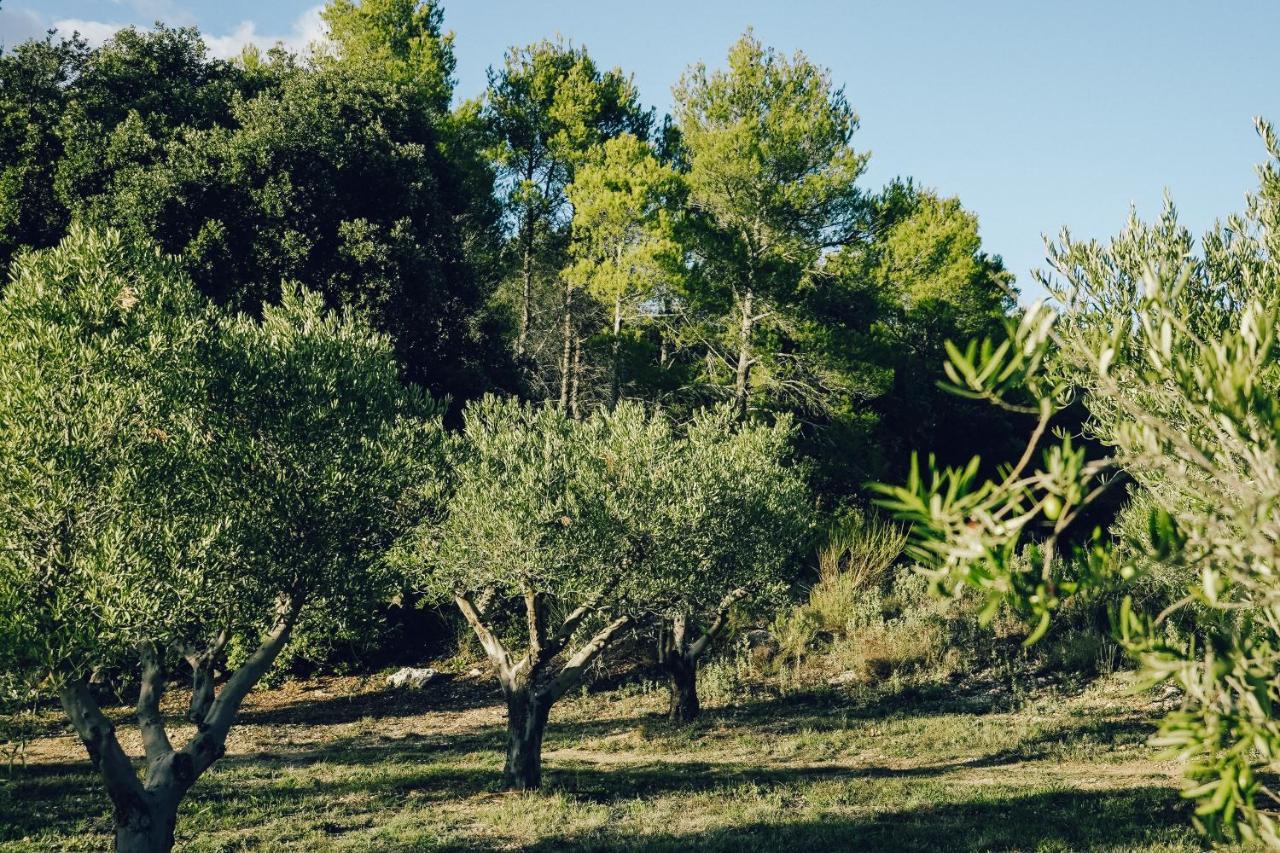 Domaine Monte Verdi Flayosc Exterior photo